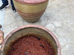 -洪湖家庭农场·团建·露营·会议
