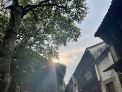 -乌镇西栅景区