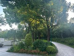 -新江湾城公园
