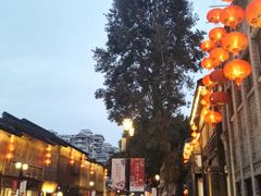 -聚春园驿馆(三坊七巷店)
