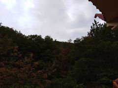 -西尖山公园