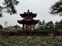 -大慈恩寺(大雁塔)