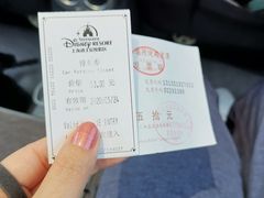 -迪士尼乐园停车场