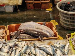 -海峡水产品交易中心(海鲜交易区)