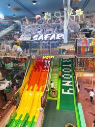 -卡通尼·Safari非洲探索乐园·生日会(金桥国际商业广场店)