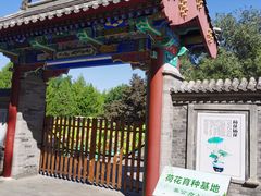 -莲花池公园