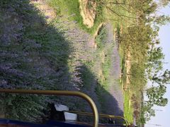 iphone_upload_pic-永定河休闲森林公园