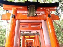 -有栖山 清光院 清水寺