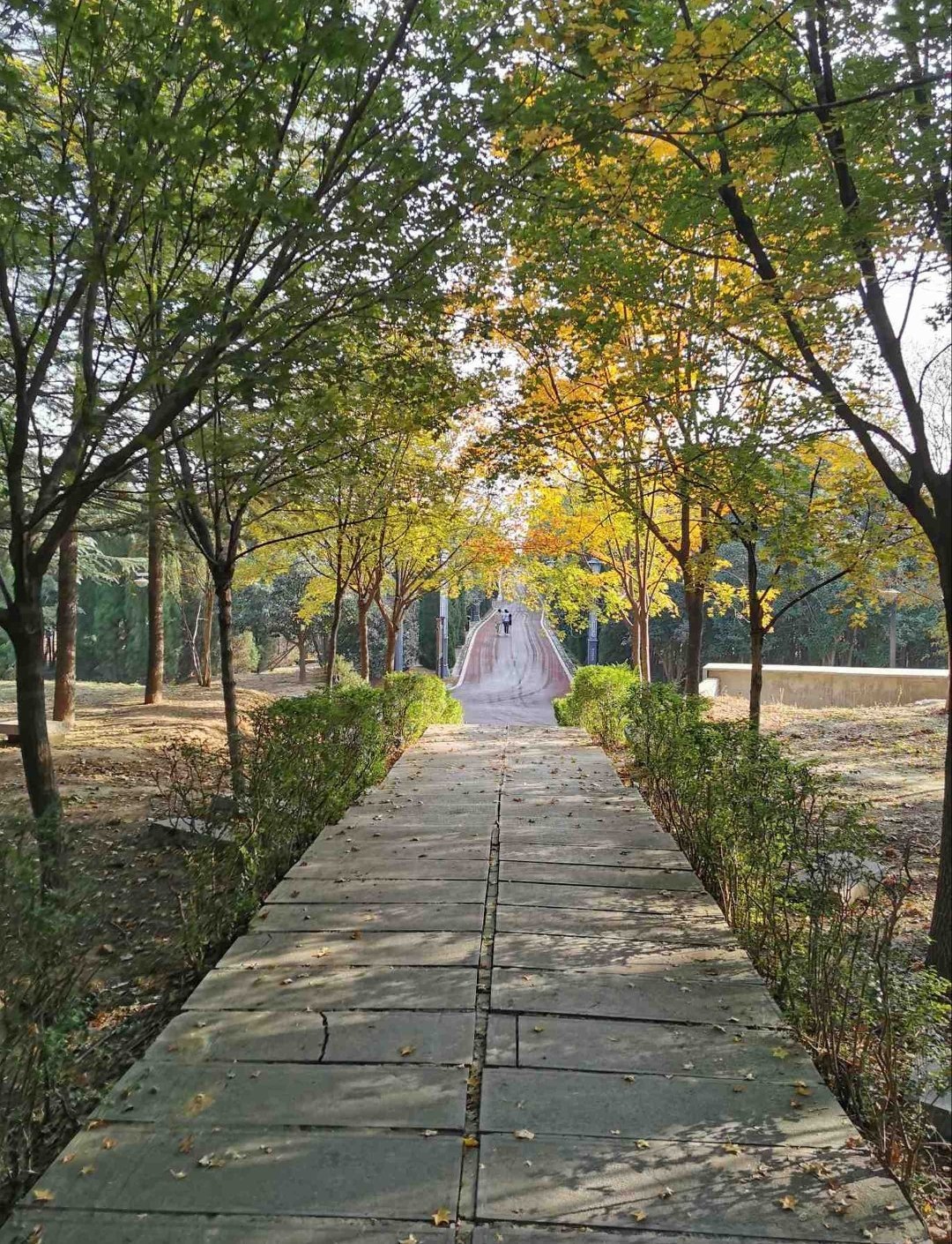 周山公园