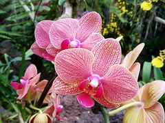 -南通洲际绿博园