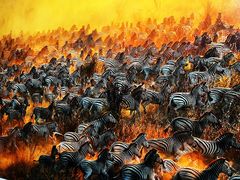 -罗红摄影艺术馆