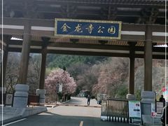 -金龙寺国家森林公园