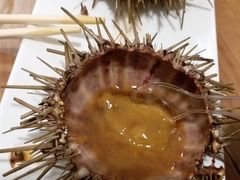 -海胆小馆(东北水饺·春柳店)