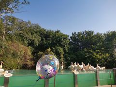 -珠海长隆海洋王国