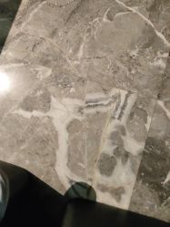 -依格宝IL COLPO明星店