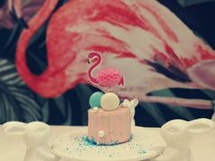 火烈鸟-随心小姐