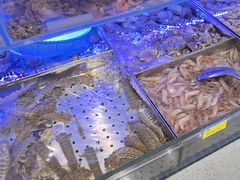 -77号渔船·蒸海鲜青岛菜(积米崖店)