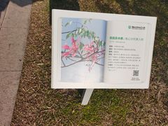 -福田红树林生态公园