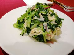 鸡毛菜百叶丝-老吉士酒家(天平路店)