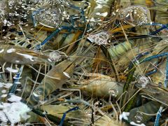 -三旗百汇商品城