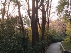 -上海佘山国家森林公园西佘山园