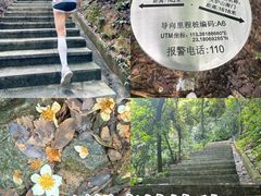 -火炉山森林公园