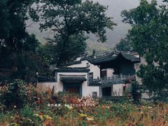 -塔川景区