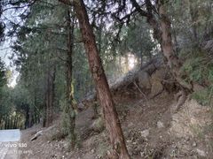 -四门塔风景区