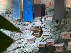 -嫩芽 ·地道重庆菜(十八梯露台夜景店)