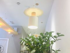 -树夏(金楠天街店)