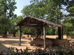 -西安秦岭野生动物园