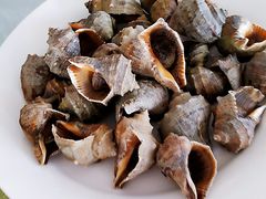 -兴旺渔家