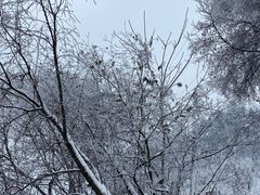 -终南山南五台景区