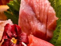 -鳥喜Toriki怀石烧鸟料理