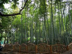 -徐家汇源景区-衡山公园