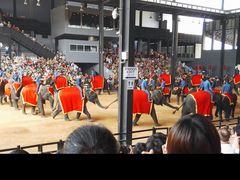-东芭乐园
