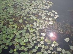 -苏州吴中太湖旅游区