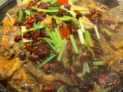 -老板恋上鱼(恒隆广场店)