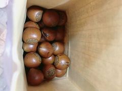 -小邢板栗(中和路店)