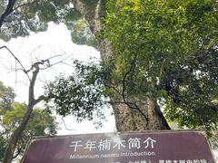 -凤栖山
