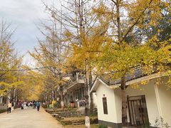 -广州市帽峰山景区