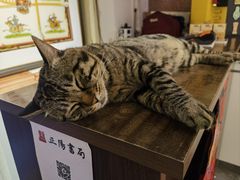 -正阳书局(西四南大街店)