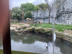 -常州淹城野生动物世界