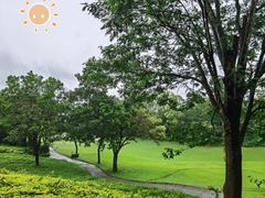 -观澜湖高尔夫球会