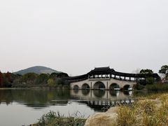 -长广溪湿地公园
