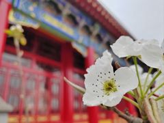 -六鼎山文化旅游区