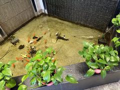 -五指生足疗保健(通州旗舰店)