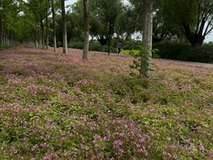 -汉长安城未央宫国家考古遗址公园
