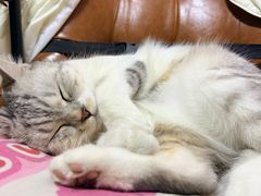 -靓姐南宁蒲庙生榨米粉(晓港湾店)