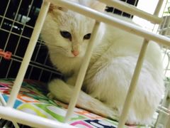 -熊猫邮局(少城店)